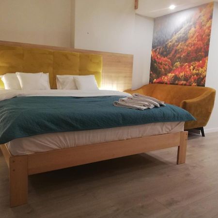 维斯拉U Zrodel住宿加早餐旅馆 外观 照片
